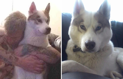 Get Murphy Home