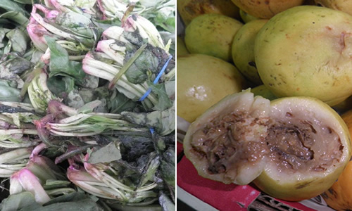 Rotten Fruit Veg Batley