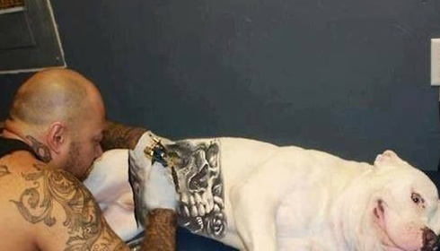Animal Tattooing