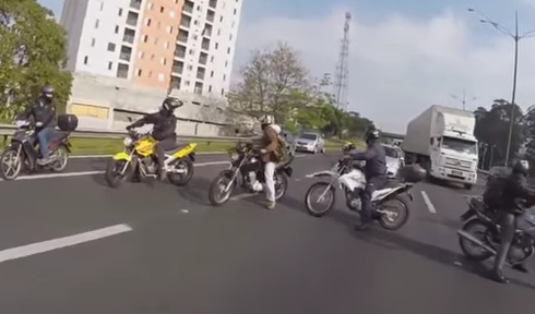 Bikers Rescue Dog