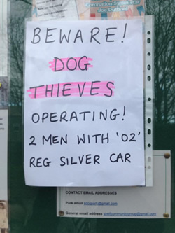 Dog Theft Shelf Park