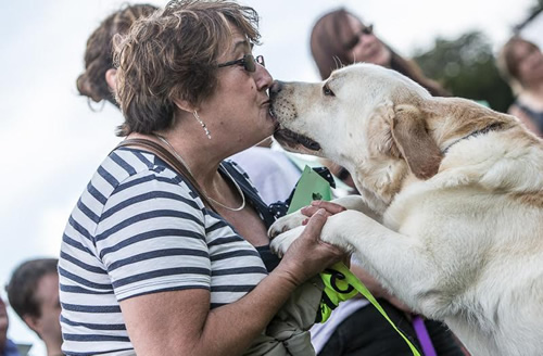 Dog Owner Kisses Dog