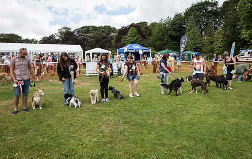 Dog Owners